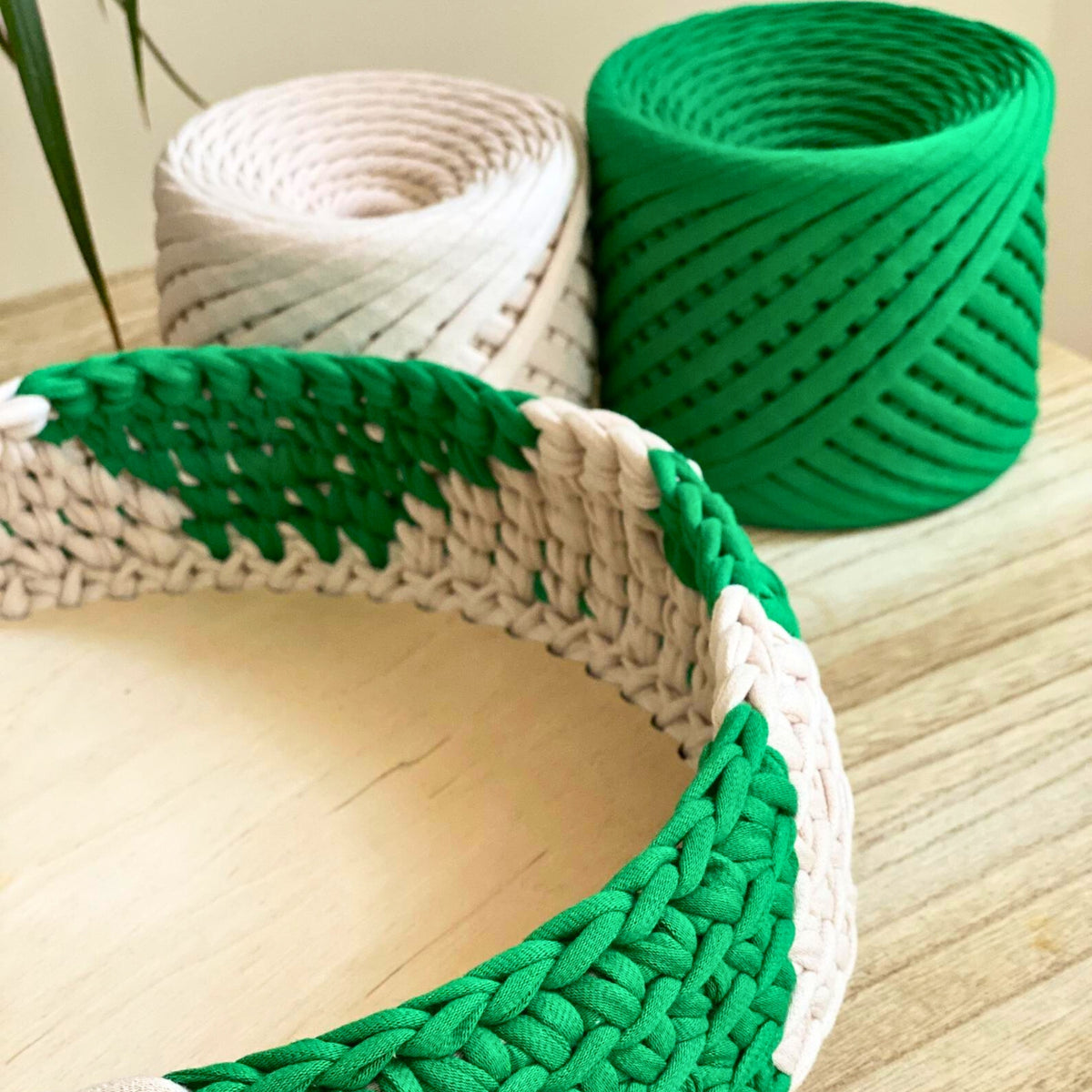 T-shirt yarn, Medium 7-9 mm, Green Island