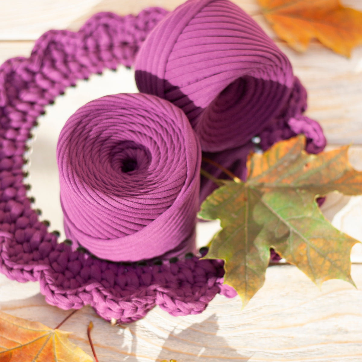 T-shirt yarn, Medium 7-9 mm, Plum Pie
